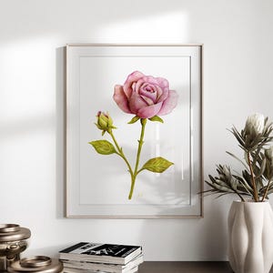 May include: A framed wall art print featuring a watercolor illustration of a single blooming pink rose and a small closed rosebud on a green stem with leaves, centered on a white background within a thin, light-colored rectangular frame.