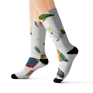 Birds Socks - Parrots Cockatiels Cockatoos Tropical Socks - Available in 3 Sizes - Great Gift Idea!