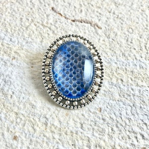 Blue Natural Snake Shed Skin Broach Pin Jewelry Gift Valentine gift Reptile lover Serpent preserved specimen real shed ball python