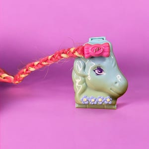 Può includere: Un pony giocattolo verde chiaro con un fiocco rosa e una lunga coda intrecciata rosa e gialla. Il pony ha occhi viola e una fila di fiori blu alla base. Lo sfondo è rosa.