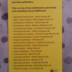 May include: A yellow card with a list of flowers and their common names, along with a letter code indicating their perennial (P) or annual (A) growth habit. The card also includes a small illustration of a bee. The text reads: "A blend of nectar and pollen flowers for honey bees, native bees, bumble bees, and other pollinators. This is a mix of low-maintenance perennials and reseeding annual wildflowers."  The card is titled "Bee Garden Stone Handmade by Betsy Canfield."