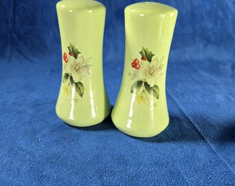 Vintage Green Floral Salt and Pepper Shakers Ceramic Set