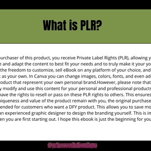 May include: Image with the text "What is PLR?" in black font on a green background. The text explains Private Label Rights, allowing customization and rebranding of an eBook. The bottom of the image has the text "@princessdigiboutique".