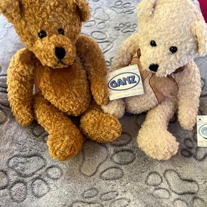 May include: Two plush teddy bears with curly fur, one in medium brown and one in cream. Both bears feature dark eyes, black noses, and brown organza ribbon bows around their necks. The cream bear has a white tag with the blue text GANZ attached.