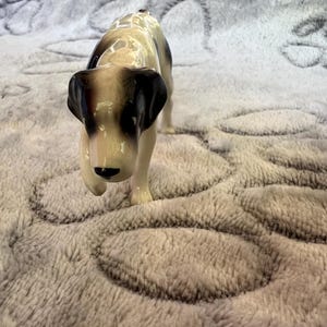 May include: A ceramic dog figurine featuring a glossy cream-coloured body with dark brown markings on the ears, face, and back. The dog is depicted in a standing position with its head slightly lowered, showcasing a smooth, reflective finish.