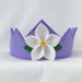 see more listings in the wool felt crowns section