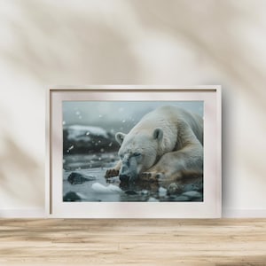 Wild Animal Photography, Polar Bear Wall Art, Realistic Wild Animal Print, Nature Lover Decor, Animal Lover Gifts, Arctic Wildlife Art