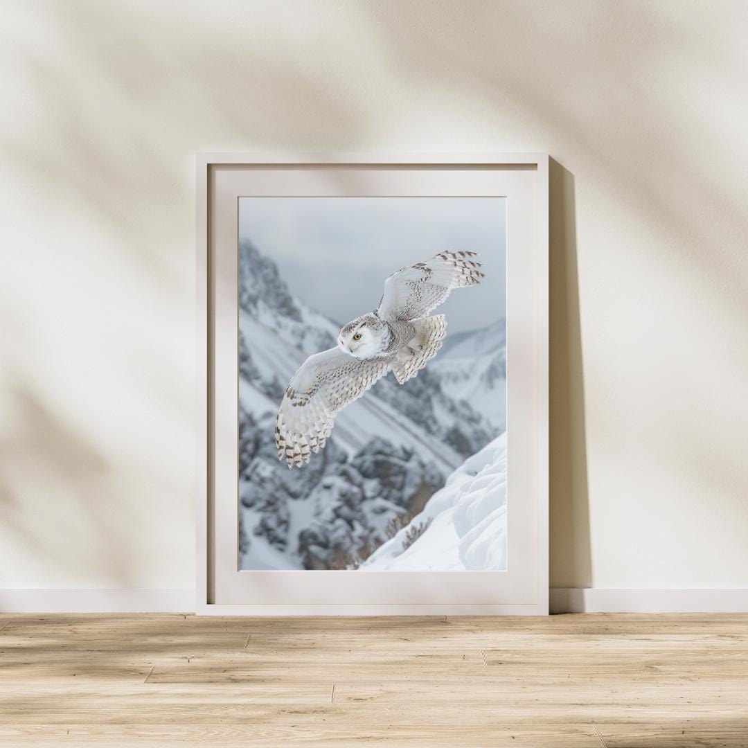 Wild Animal Photography, White Owl Wall Art, Realistic Wild Animal ...