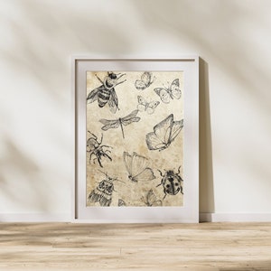 Insect Wall Art - Entomology Animal Poster - Nature Lovers & Bug Lovers - Academia Insects Art Print