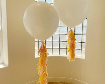 Balloon Tissue Tassel Tail Customized