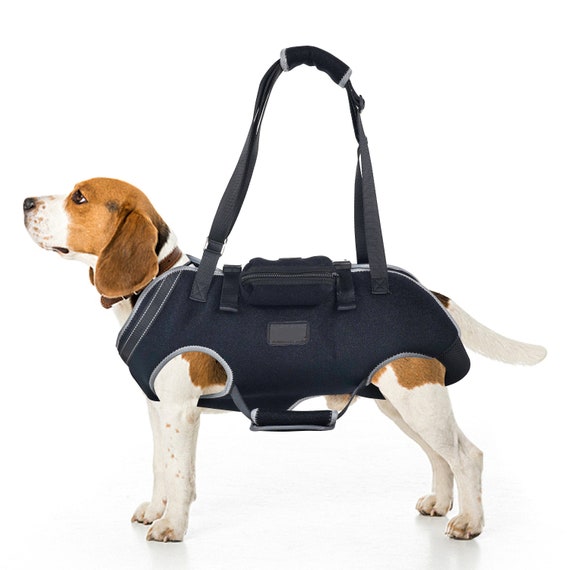 Dog Lift Harness With Handle Trash Bag Custom Size Personalized Custom Size Reflective Comfort Etsy