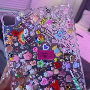 Junk Ipad Case!!