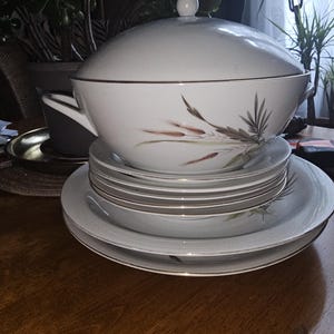 Peut inclure: Une soupière en porcelaine blanche avec un couvercle et un ensemble d'assiettes assorties. La soupière et les assiettes présentent une bordure dorée et un motif floral délicat dans les tons de brun et de vert. L'ensemble est disposé sur une surface en bois.