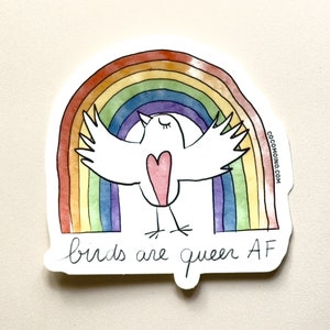 Sticker Les oiseaux sont queer - Sticker arc-en-ciel de fierté homosexuelle et LBGTQIA+ avec oiseau