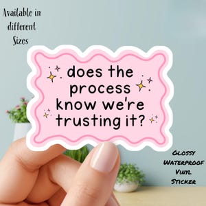 ¿Sabe el proceso que confiamos en él? Adhesivo de vinilo