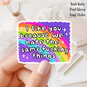 May include: A 3-inch water-proof, glossy vinyl sticker with a rainbow design and the text "I like you because we hate the same fucking things." The sticker has a purple background with white stars.
