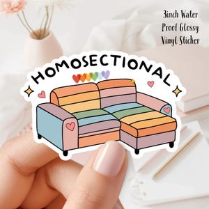 Homosectional Pride Funny 3inch Glossy Water Proof Vinyl Sticker Great for Water Bottles, Laptops, E-Readers. Gifts and more