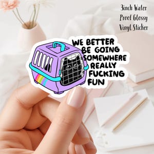 May include: A 3 inch water-proof glossy vinyl sticker featuring a black cat in a purple carrier with a rainbow stripe. The text on the sticker reads "We better be going somewhere really fucking fun."