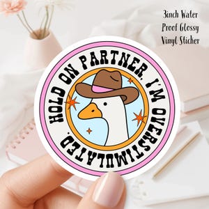 Puede incluir: Adhesivo redondo de vinilo con un dibujo de un ganso con sombrero de vaquero. El adhesivo tiene un borde rosa y naranja con el texto "HOLD ON PARTNER, I'M OVERSTIMULATED." El diámetro del adhesivo es de 7,6 cm.