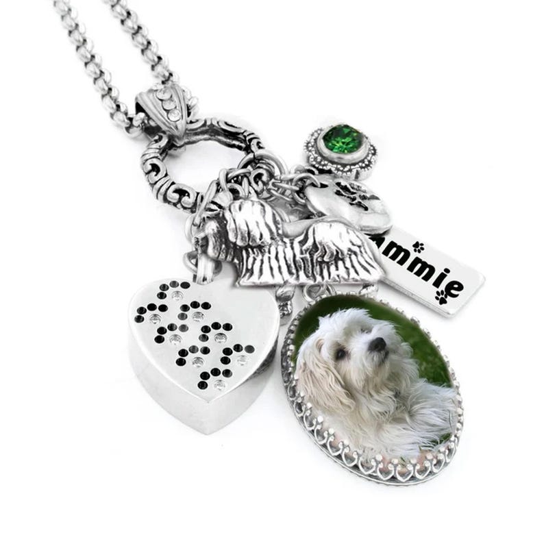A silver necklace with various charms and a heart-shaped charm featuring a photo of a white dog.