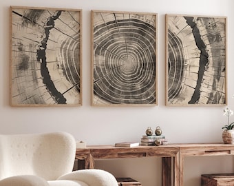 May include: Three framed black and white prints of tree rings hang on a white wall above a wooden table with a white armchair and a round wooden coffee table.