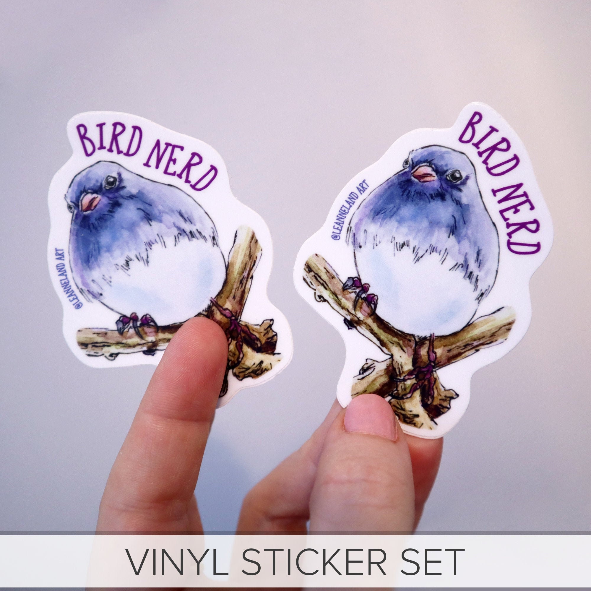 Bird Nerd STICKER SET - Large Vinyl Stickers - Art Designed by Me ...