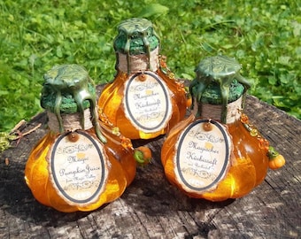 May include: Three decorative glass bottles shaped like pumpkins, filled with orange liquid. Each bottle has a green, textured stopper and a label that reads "Magic Pumpkin Juice". The bottles are on a wooden surface with green foliage in the background.