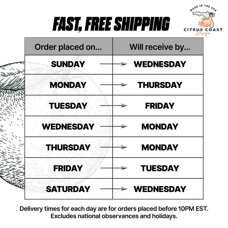 Vinyl Sonic Characters Birthday Banner | Free 2-Day Shipping | Printed to Order | 13oz Vinyl Banner for Birthday Party image 10