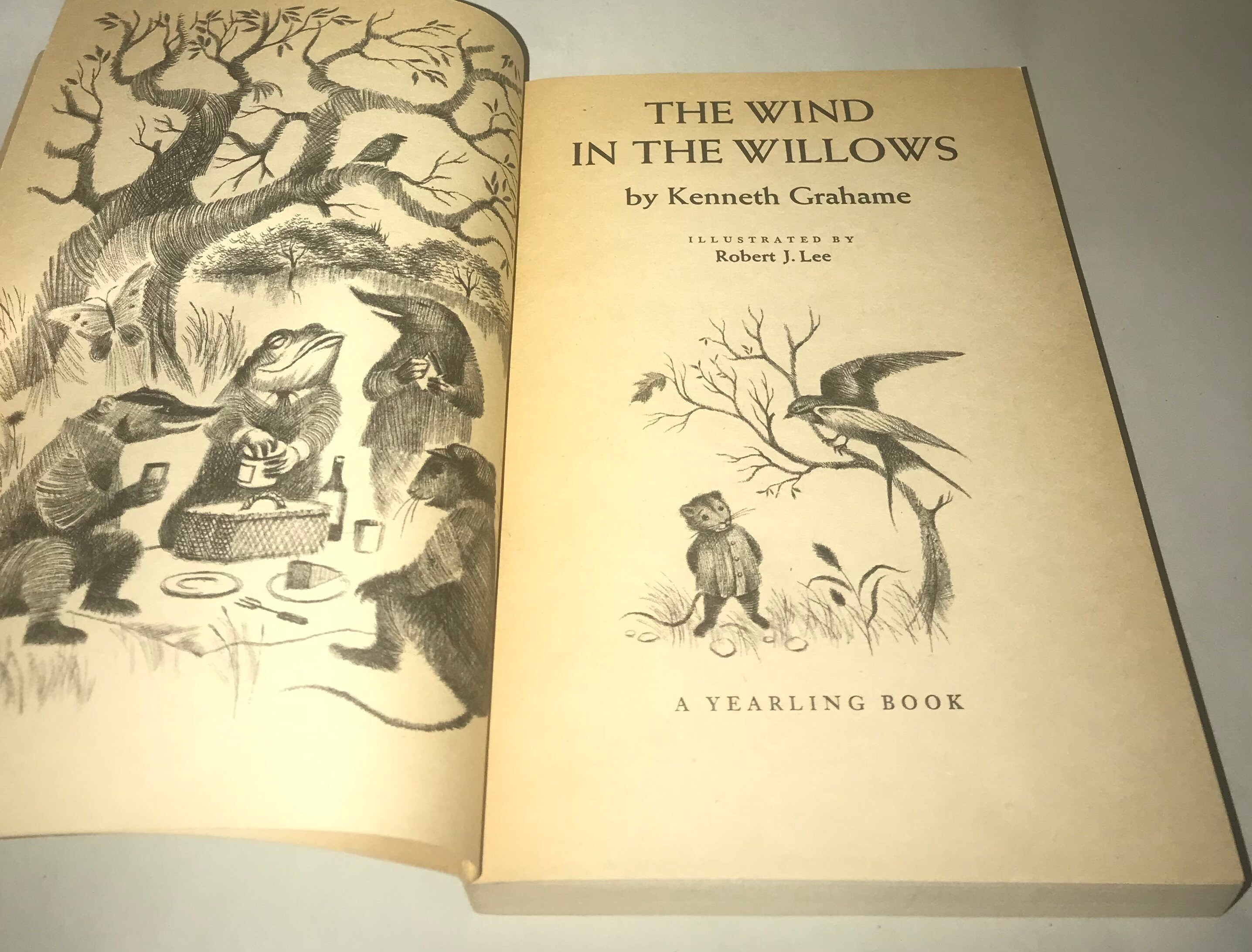 The Wind in the Willows by Grahame Paperback Book1974, 8th