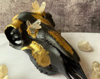 Black & Gold Quartz Goat Skull Wall Art – Ethically Sourced Real Skull with Crystals | Modern Occult Home Decor | Luxury Gothic Bone Decor