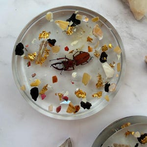May include: Clear resin coaster with a brown beetle, gold flakes, and various small stones and shells embedded within. The coaster is round and has a slightly raised edge, showcasing a unique, natural design.