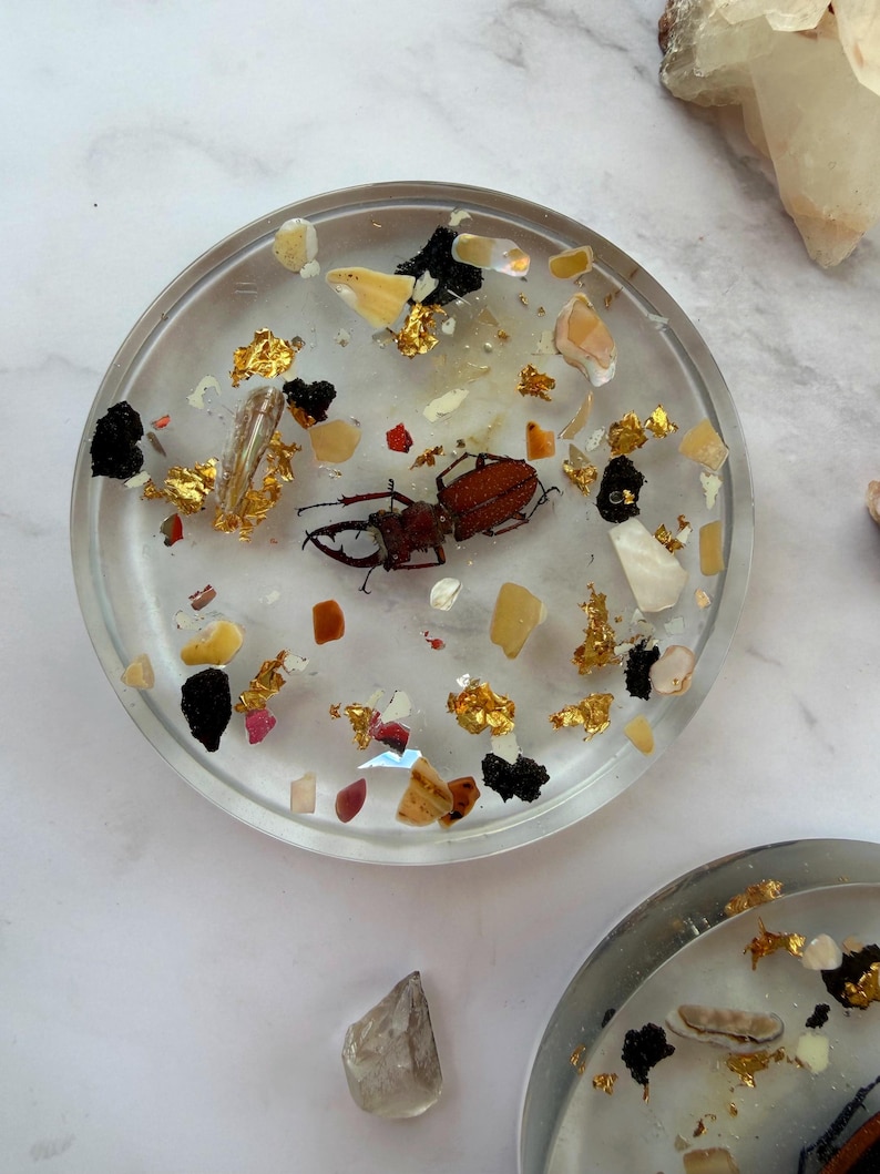 May include: Clear resin coaster with a brown beetle, gold flakes, and various small stones and shells embedded within. The coaster is round and has a slightly raised edge, showcasing a unique, natural design.