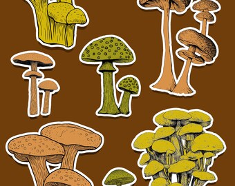 Mushroom Sticker Sheets, Retro Vintage Style Unique, Fun Fungi Decals for Kids and Adults, Scrapbooking, Planner Accessories, Gifts