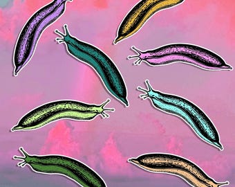 Unique Slug Sticker Sheets - Fun, Vibrant Insect Decals, Fun Designs, Colorful, Weird Garden Theme Craft Supply, Quirky