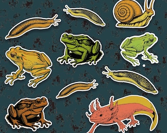 Amphibians & Mollusks Fun Quirky Retro High Quality Sticker Sheet - Animal Lovers, Scrapbookers, Stationery Addicts, Unique Gifts