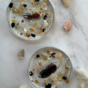 May include: Two clear resin coasters, each with a preserved beetle, gold leaf, and shell fragments. The coasters are round and sit on a white marble surface, with crystals in the background. A unique home decor item.