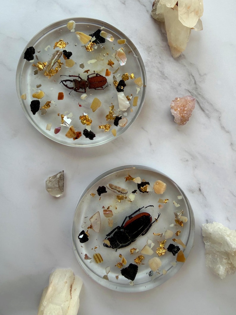 May include: Two clear resin coasters, each with a preserved beetle, gold leaf, and shell fragments. The coasters are round and sit on a white marble surface, with crystals in the background. A unique home decor item.