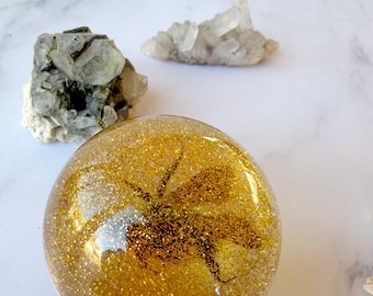 Real Insect in Gold Resin | Bumble Bee Paperweight | Botanical Specimen Art | Curiosity Desk Decor | Golden Oddities Gift