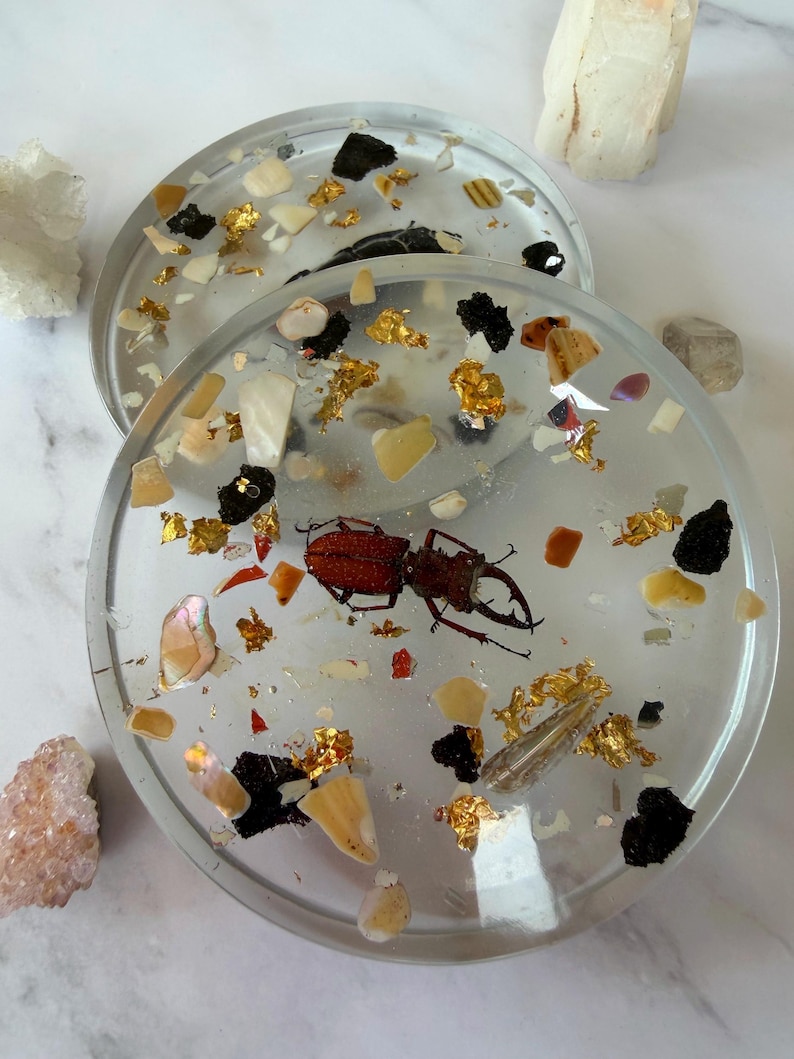 May include: Two clear resin coasters with embedded decorative elements. Each coaster features a stag beetle, gold leaf, and pieces of shell and stone. The coasters are round and have a glossy finish, perfect for home decor.
