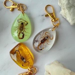 May include: Three keychains with gold-colored clasps. Each keychain features a scorpion encased in a teardrop-shaped resin. The resin colors are green, clear, and amber. The scorpions are brown and black.