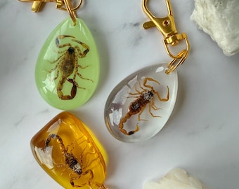 Real Scorpion Keychain Resin Bug Keychain Mini Terrarium Charm Insect Jewelry Gift Glow, Amber, or Clear Resin Keychain Taxidermy Oddities