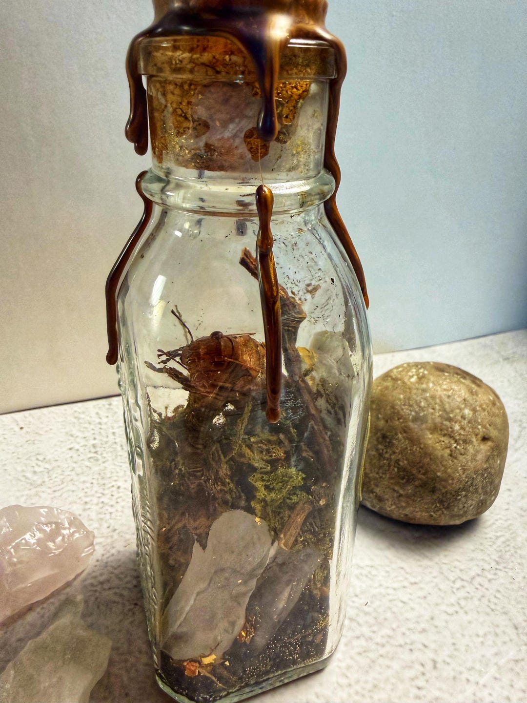 Antique-style Dry Potion Bottle Magical Root Grasshopper Specimen ...