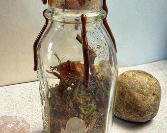 Antique-Style Dry Potion Bottle Magical Root Grasshopper Specimen Quartz Crystal Talisman Witchcraft Curio Jar Oddities Alchemy Witchy