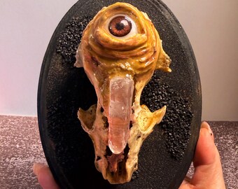 Real Skull Wall Art with Quartz Crystal & Sculpted Resin Eye Gothic Oddities Decor Volcanic Sand Plaque Curiosity Cabinet Taxidermy Witchy