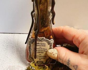 Vintage 1950s Potion Bottle Oddity with Japanese Beetles, Forest Moss Red Mica Gold Flakes | Apothecary Specimen Decor with wax seal