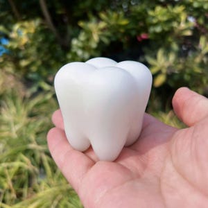 Puede incluir: Un modelo de diente blanco impreso en 3D. El diente es ligeramente más grande que un diente humano adulto y tiene una superficie lisa y redondeada.