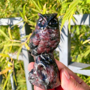 Peut inclure: Une figurine d'hibou sculptée en pierre précieuse noire et rouge. Le hibou est perché sur une branche et présente un design détaillé.