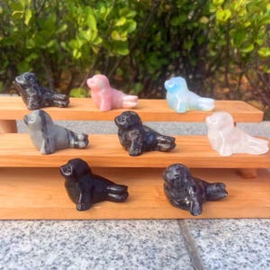 May include: A selection of small, carved stone seal figurines in various colours, including black, pink, grey, and blue. The seals are displayed on a wooden shelf, with a natural background of green foliage.