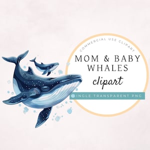 Baby Whale Clipart ÚNICO PNG TRANSPARENTE, uso comercial, adesivos digitais, gráfico de sublimação, animais fofos, mãe e bebê