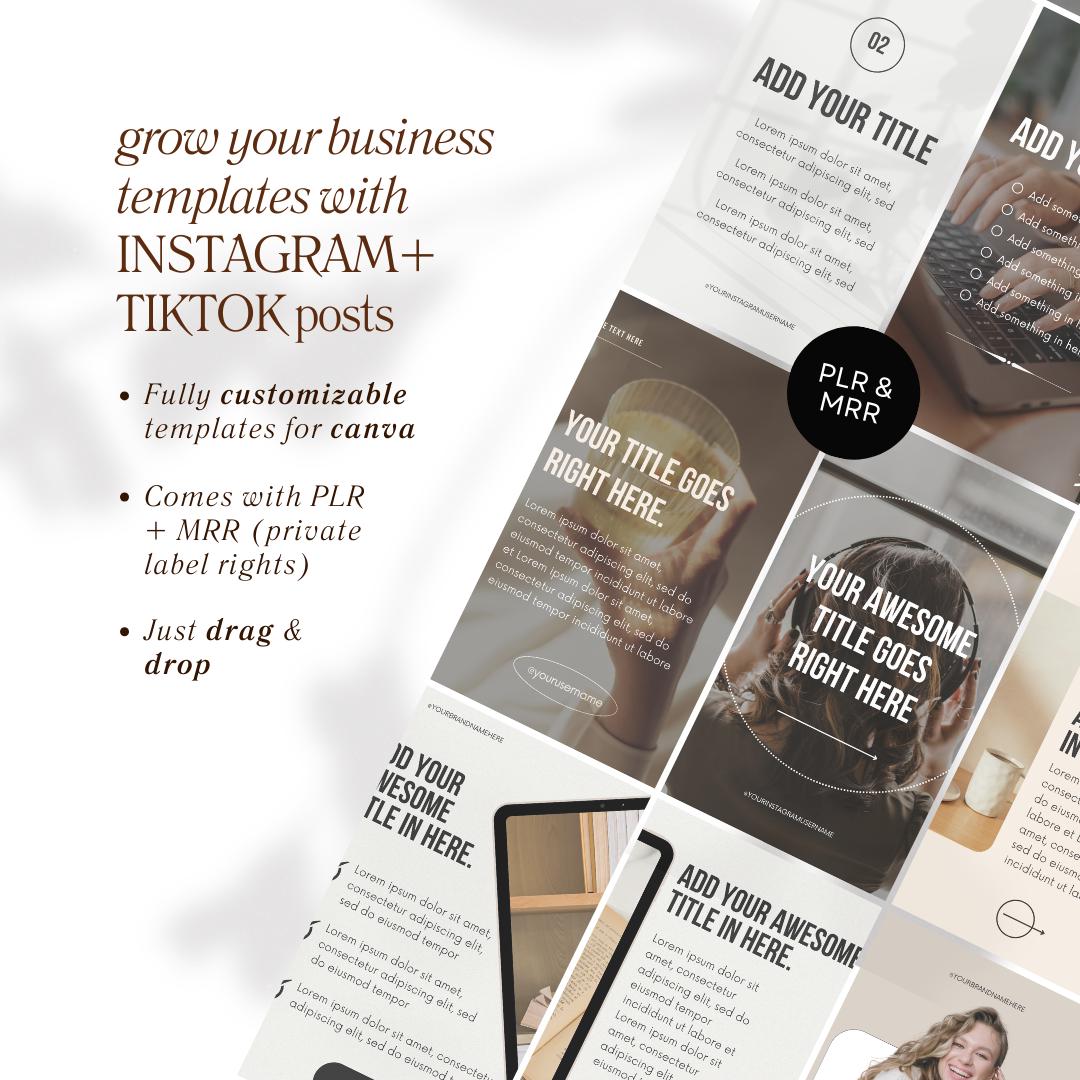 100 PLR MRR Instagram Carousel Posts Tiktok Instagram Posts Canva ...